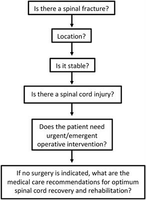 Management of Acute Traumatic Spinal Cord Injury: A Review of the Literature
